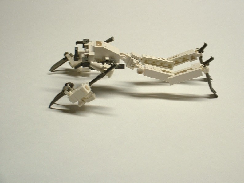 wb009.jpg