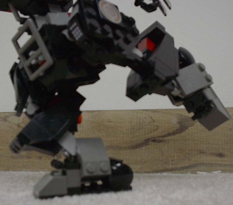 05.jpg