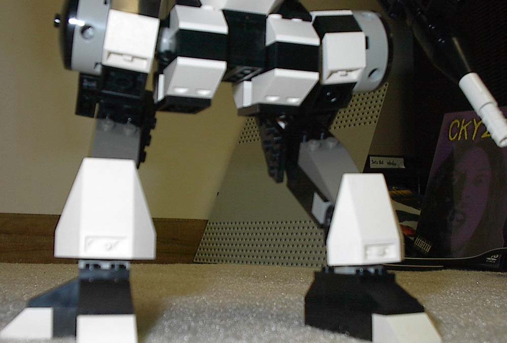 cougar09.jpg