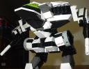 cougar08.jpg