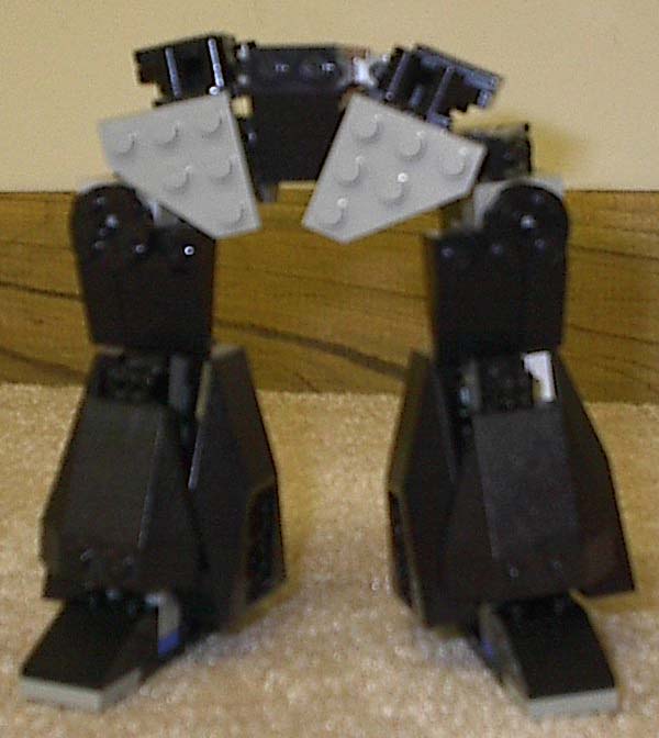 legscrust01.jpg