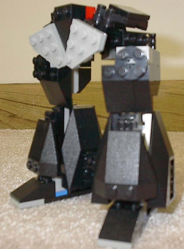 legscrust02.jpg