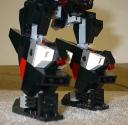 legswolf05.jpg