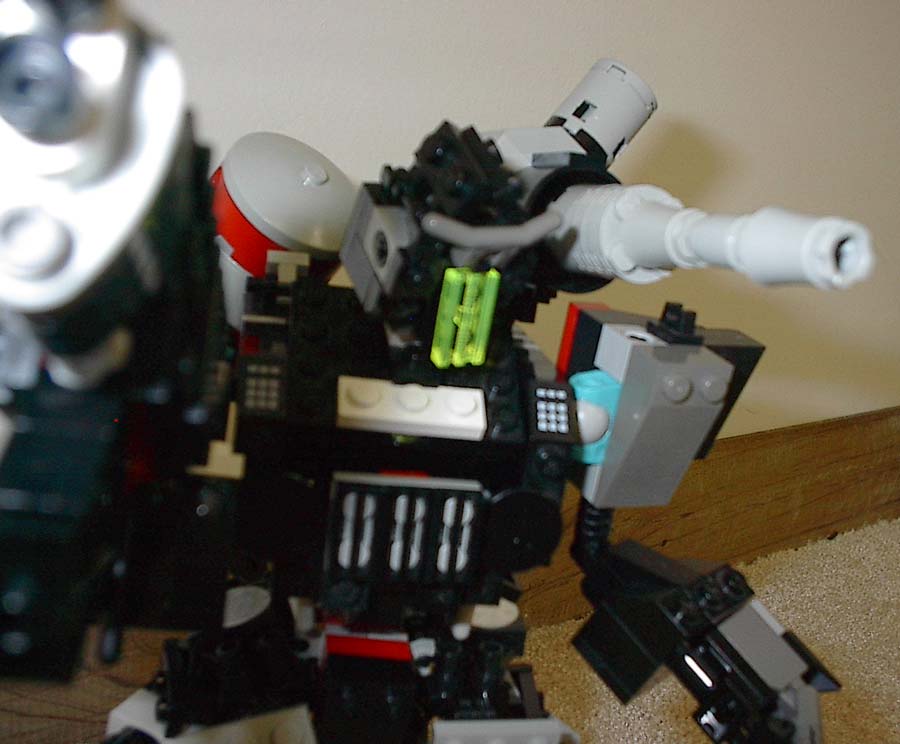 04warpig.jpg