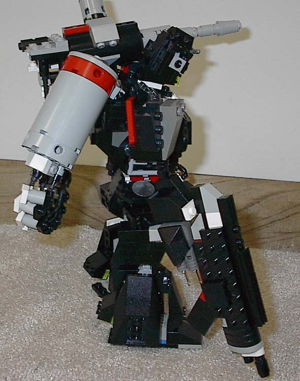 06warpig.jpg