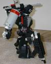 06warpig.jpg