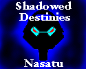 nasatu_banner_small.png.gif