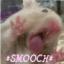 hamstersmooch.jpg