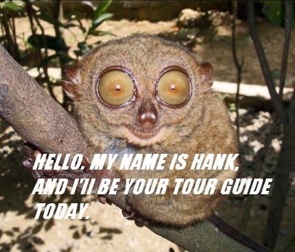 big_eyes_tour_guide.jpg