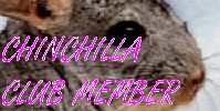 chinchillameberbanner.png