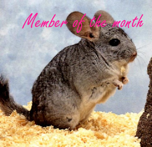 memberofmonth.png