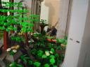 dsc05661.jpg
