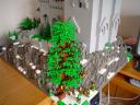 dsc02447.jpg