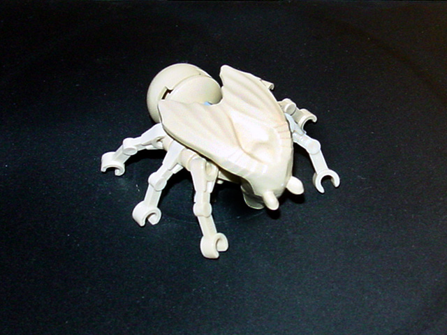 jarjarbug1.jpg