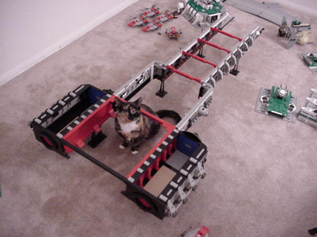 carrier_cat.jpg