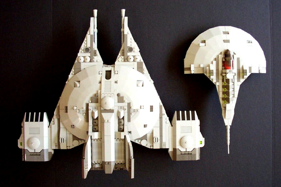 stingray-scale.jpg