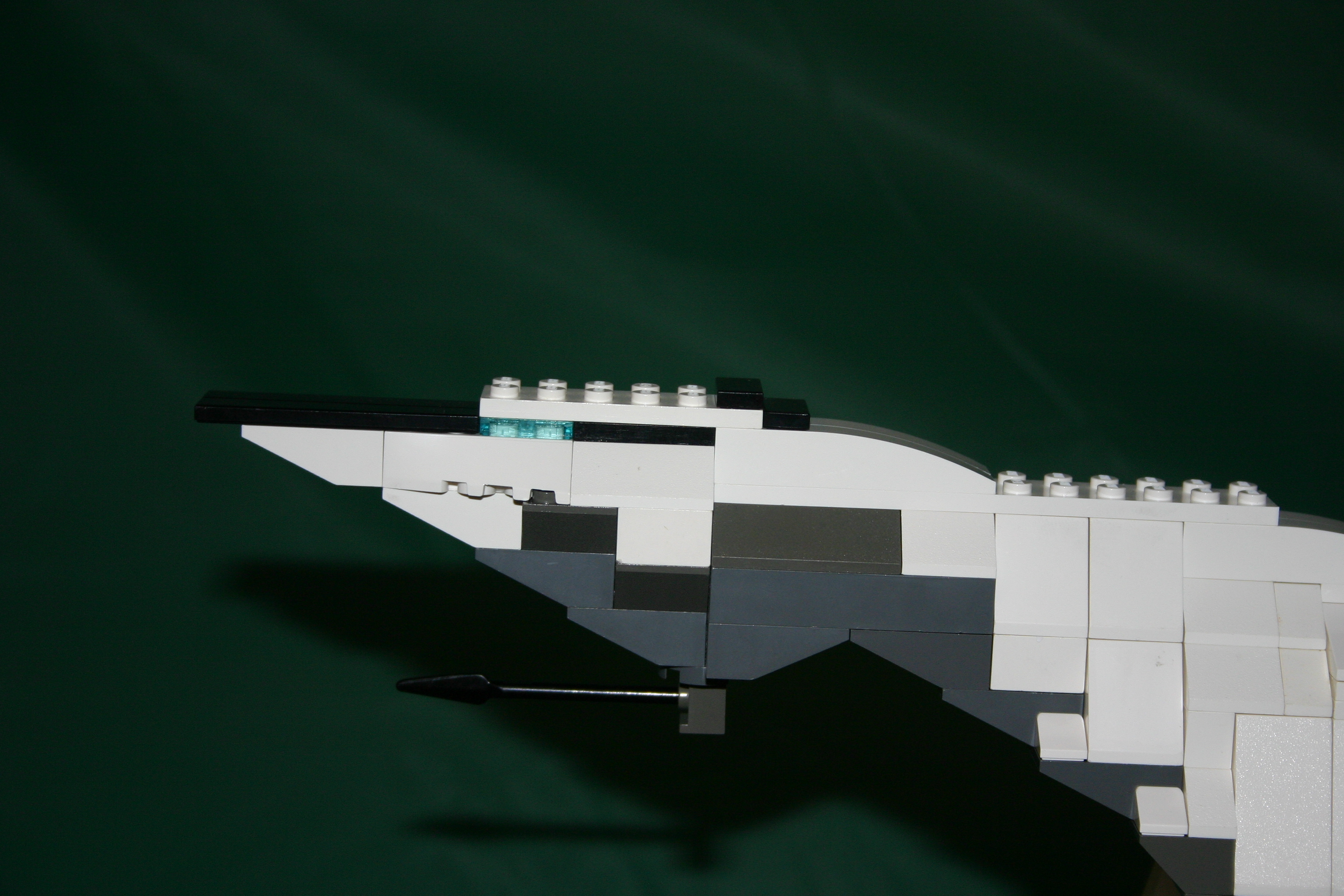 greatfox_003.jpg