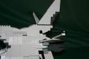 greatfox_005.jpg