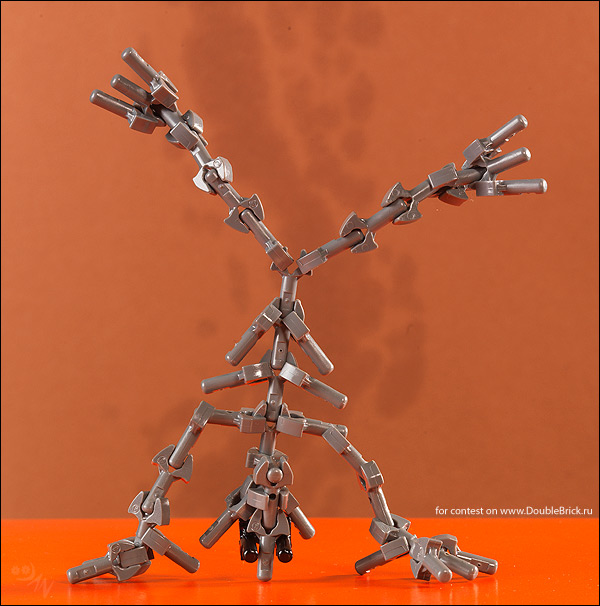 biotic-04.jpg