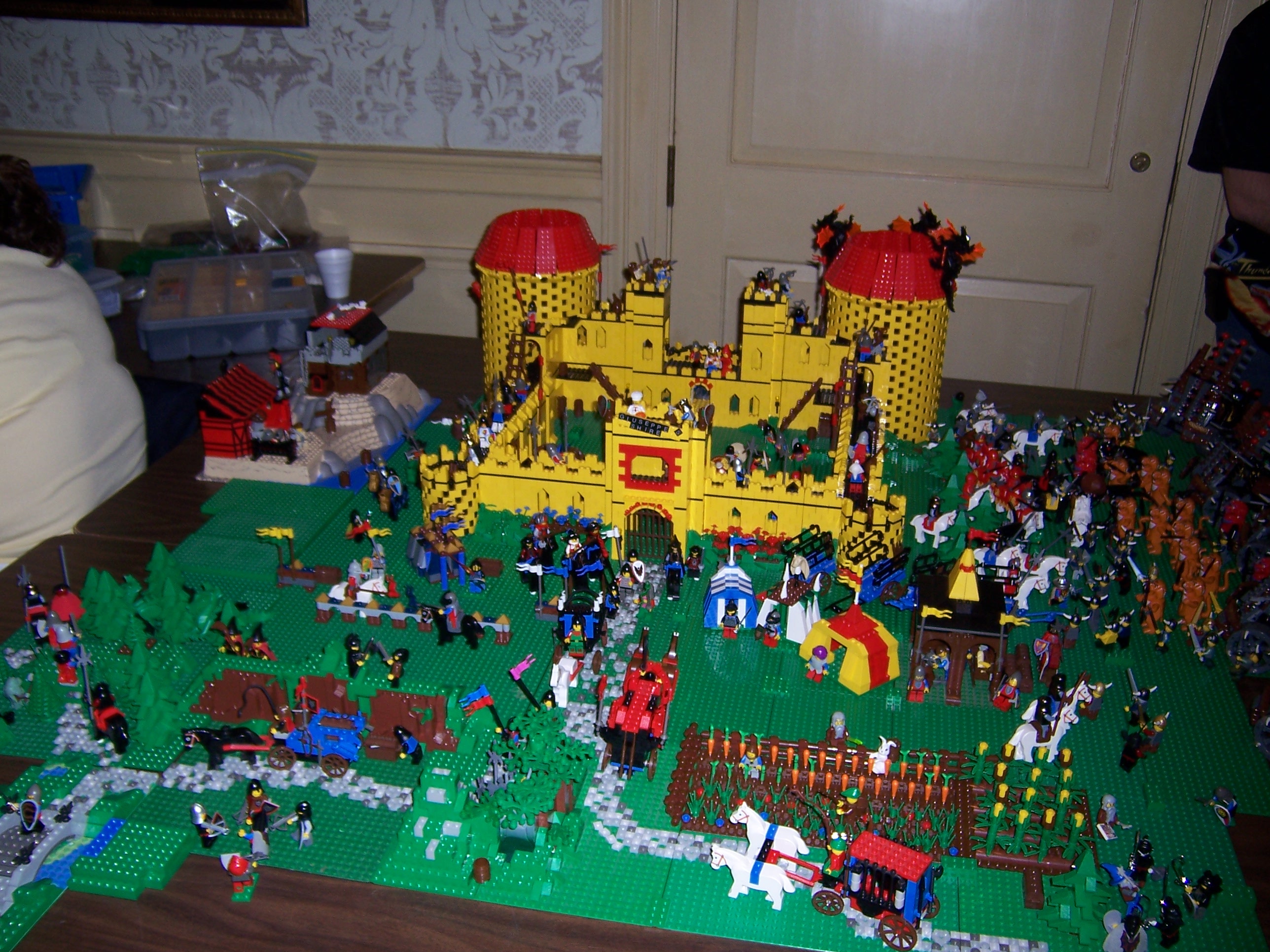 100_1341.jpg