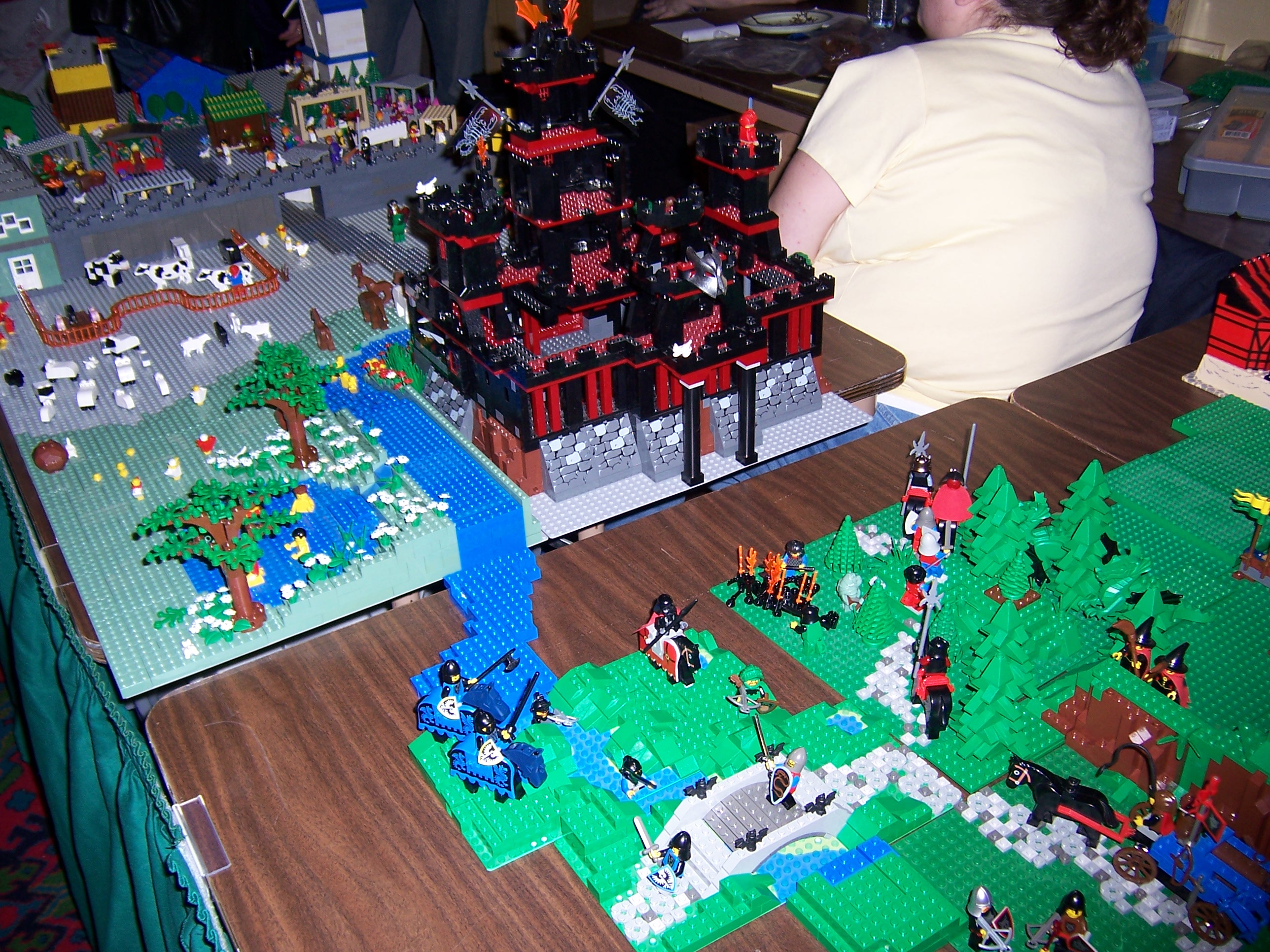 100_1342.jpg