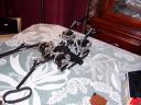 100_0889.jpg