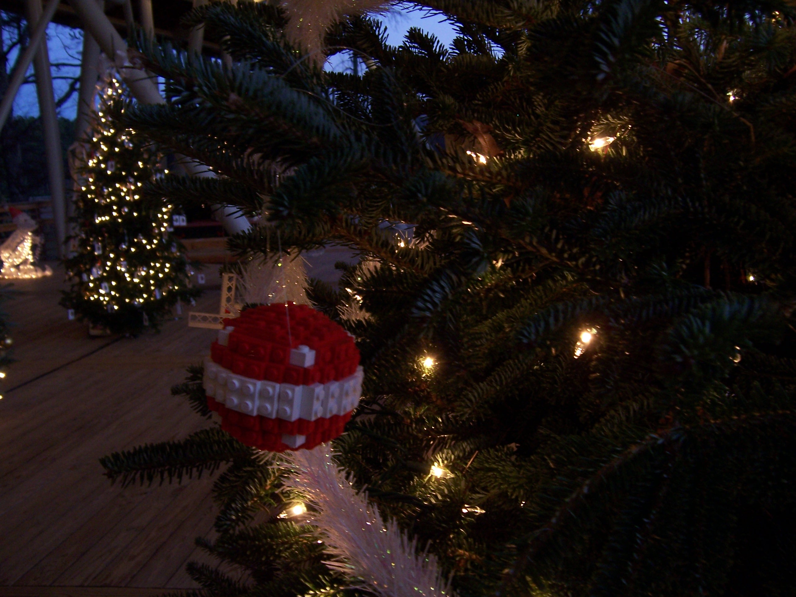 100_1038.jpg
