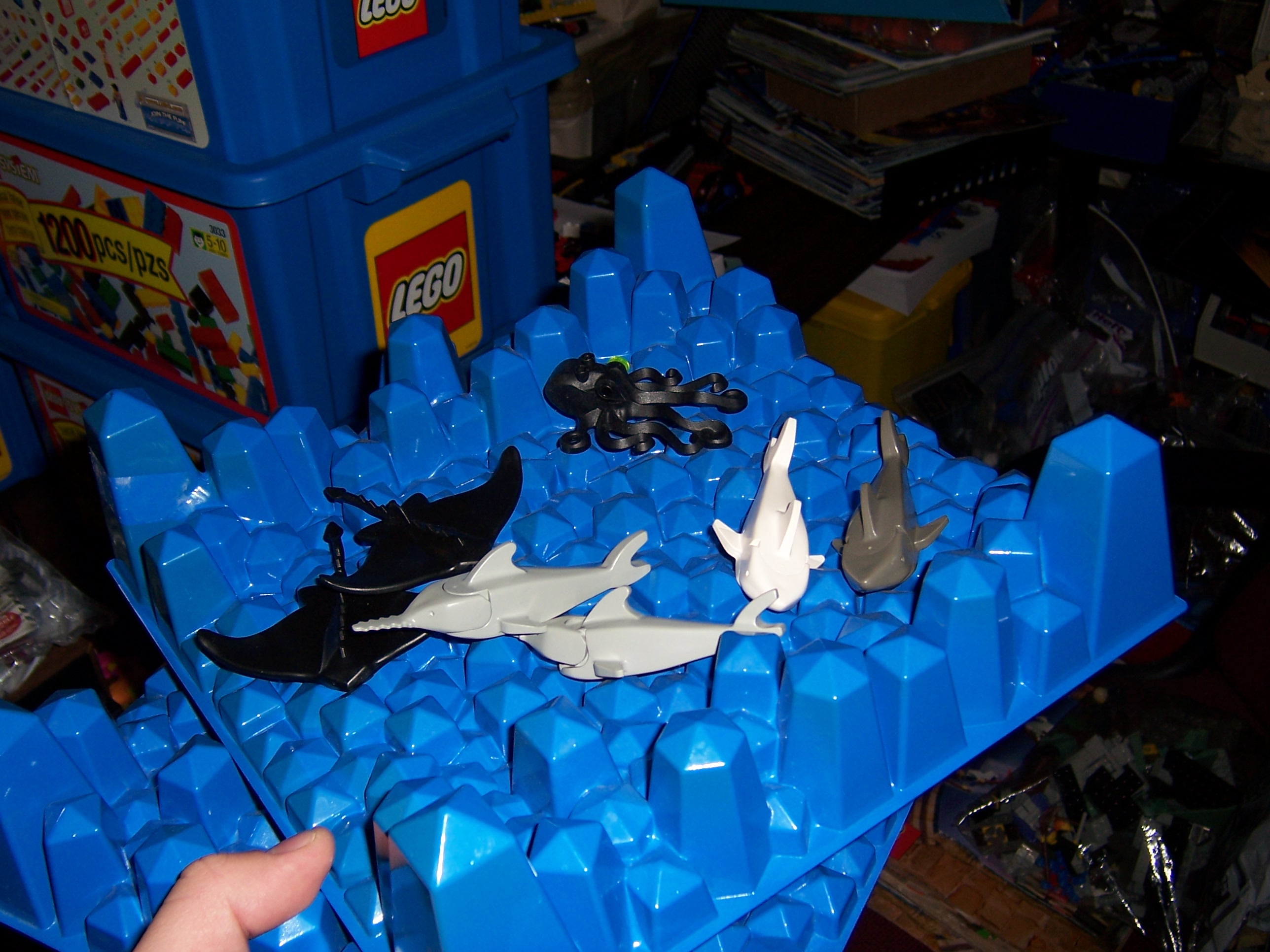 100_1212.jpg