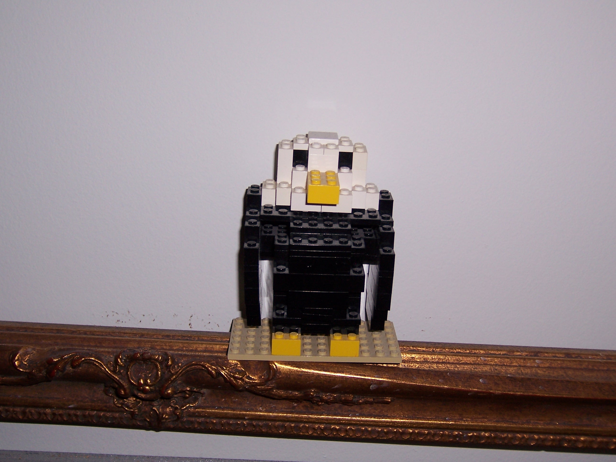 100_1219.jpg