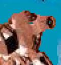 darav.png