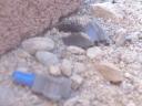 photoshoot_087.jpg