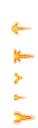 muzzle_flashes.png
