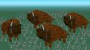 Bison