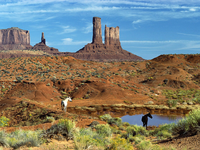 wild-horses-at-the-watering-hole-monument-valley.jpg