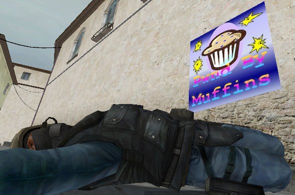 pwndmuffins.jpg