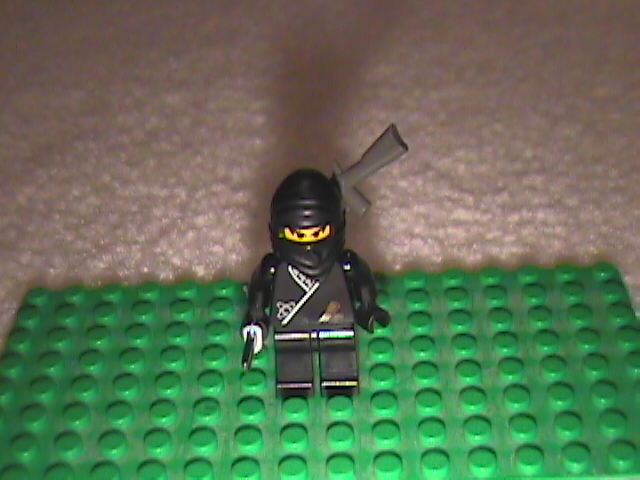 assassinorspy.jpg
