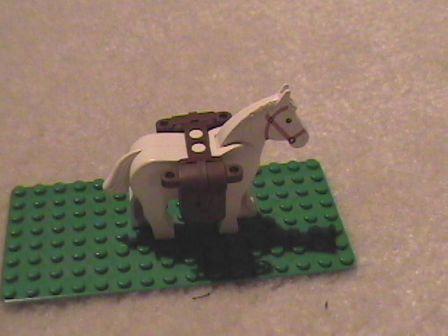 packhorse.jpg