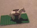 packhorse.jpg