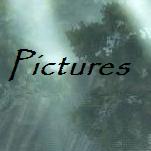 avatars_and_picture_icon.jpg