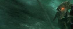 iruni_banner.jpg