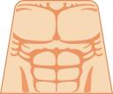 torso-muscle.png