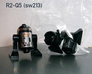 r2-q5-sw213.jpg