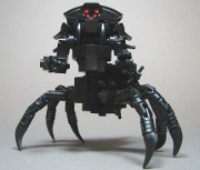 img_6655t.jpg