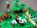 img_6341cc.jpg