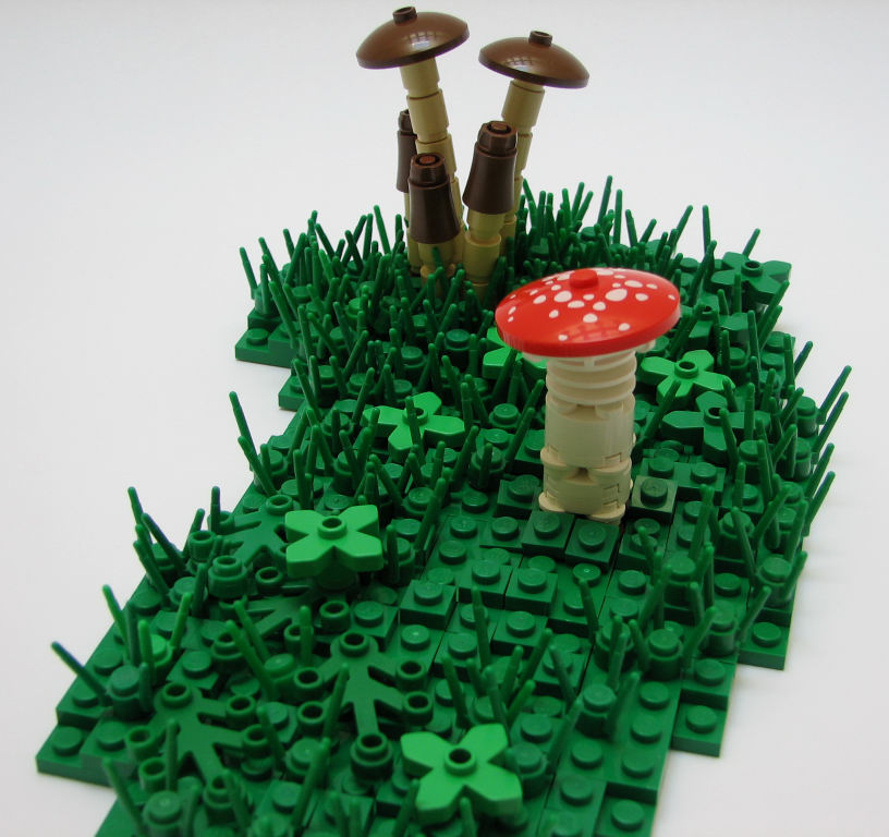 shroom_01.jpg