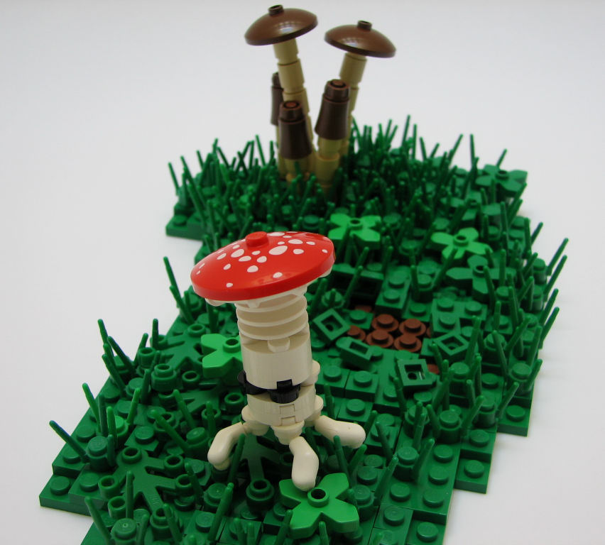 shroom_03.jpg
