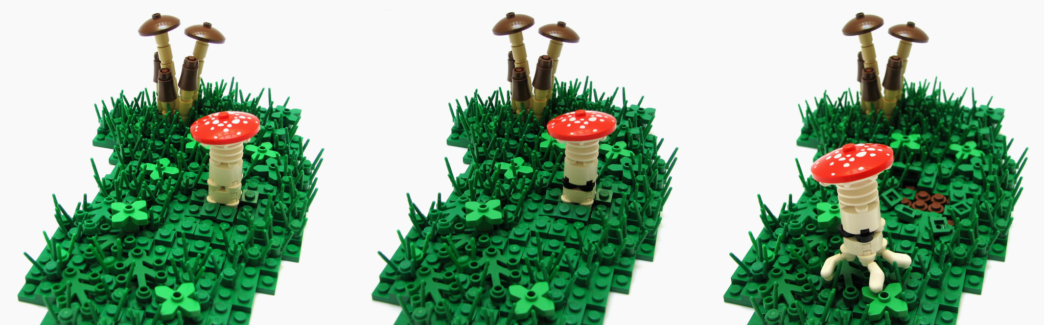 shroom_04.jpg