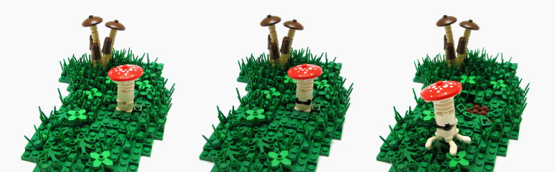 shroom_05.jpg