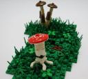shroom_03.jpg