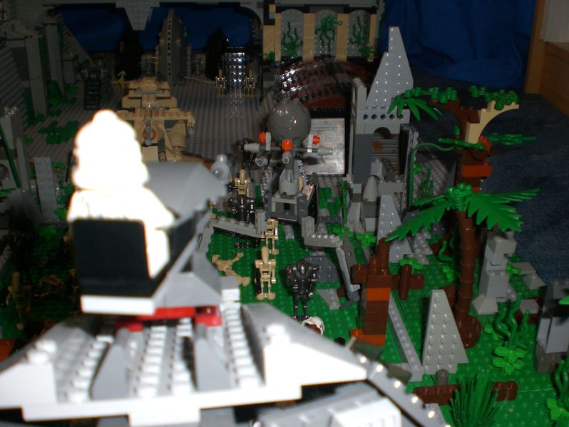 915.jpg